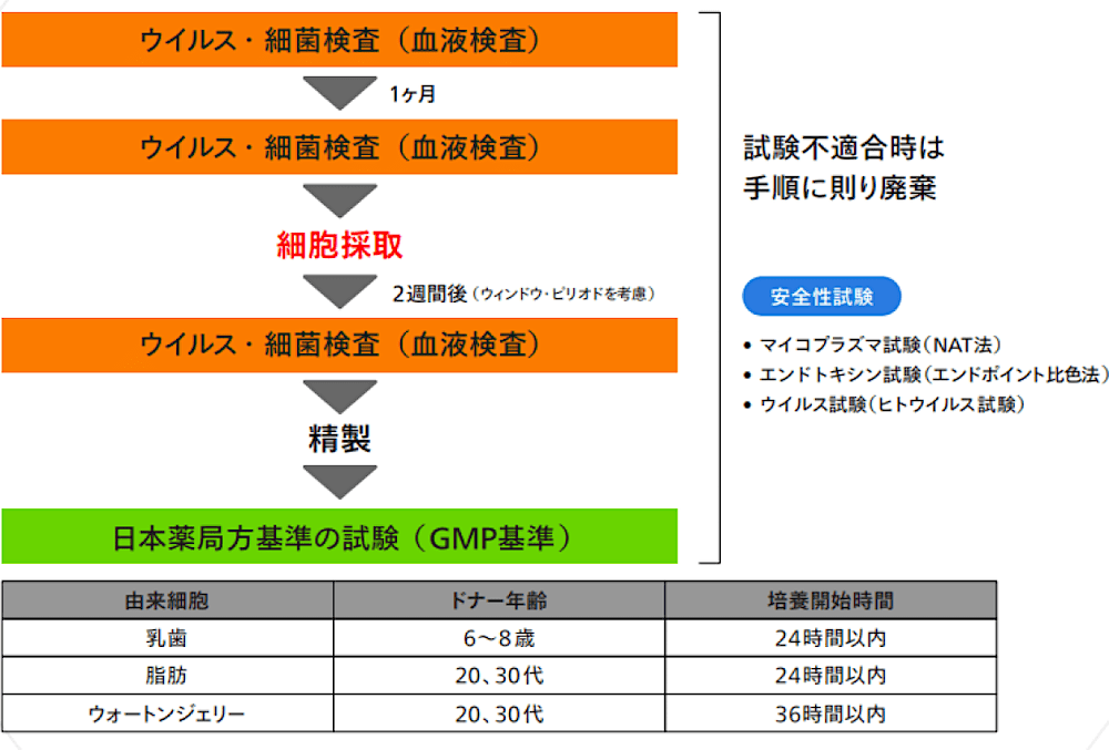 ウイルス・細菌検査（血液検査）→1ヶ月→ウイルス・細菌検査（血液検査）→細胞採取→2週間後（ウィンドウ・ビリオドを考感）→ウイルス・細菌検査（血液検査）→精製→日本薬局方基準の試験（GMP基準）｜試験不適合時は手順に則り廃棄｜安全性試験:マイコプラスマ試験（NAT法）・エンドトキシン試験（エンドポイント比色法）・ウイルス試験（ヒトウイルス試験）