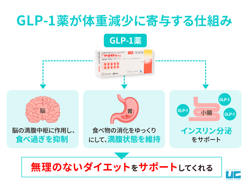GLP-1薬が体重減少に寄与する仕組みの図