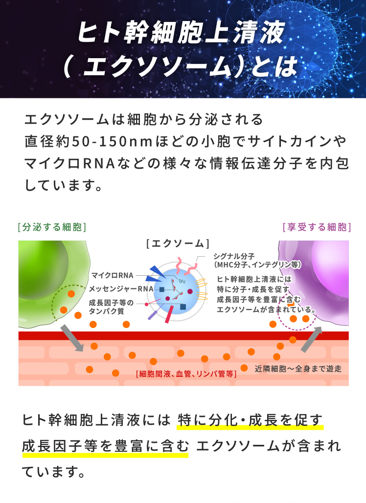 ヒト幹細胞上清液（ エクソソーム）とは
