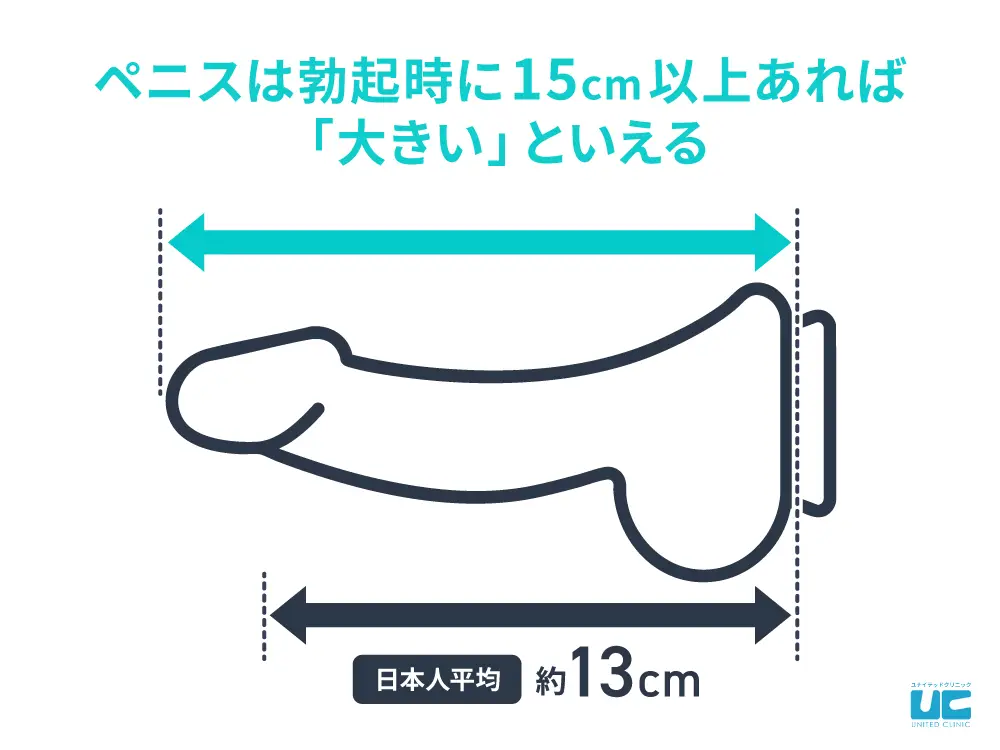 勃起時のちんこの大きさの平均は約13cm！15cm以上あれば「でかいちんこ」に相当する