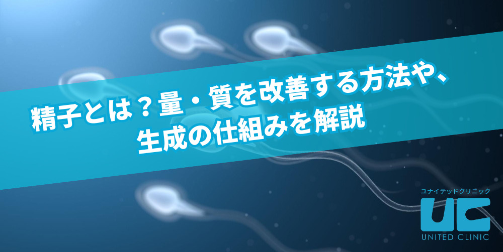 精子とは？量・質を改善する方法や、生成の仕組みを解説