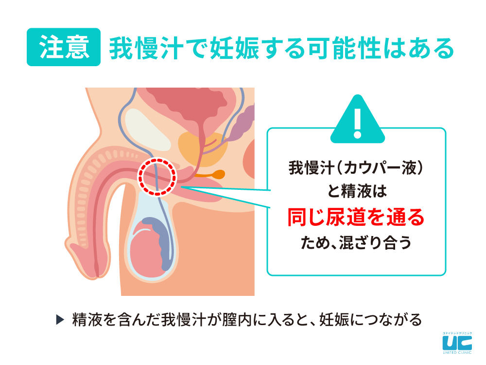 我慢汁でも妊娠する可能性はある