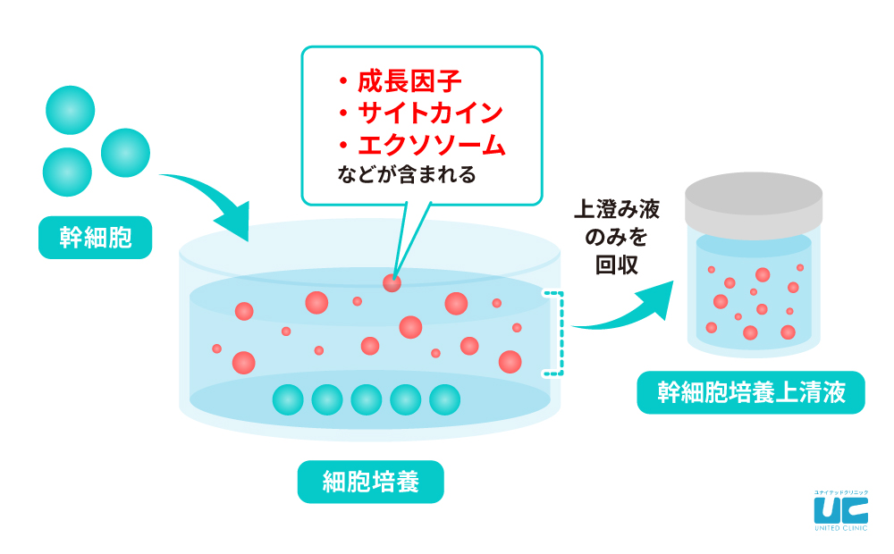 幹細胞培養上清液とは
