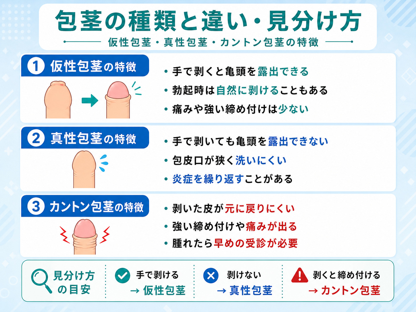 包茎の治し方完全版！自力と手術の境界線と失敗しない選び方